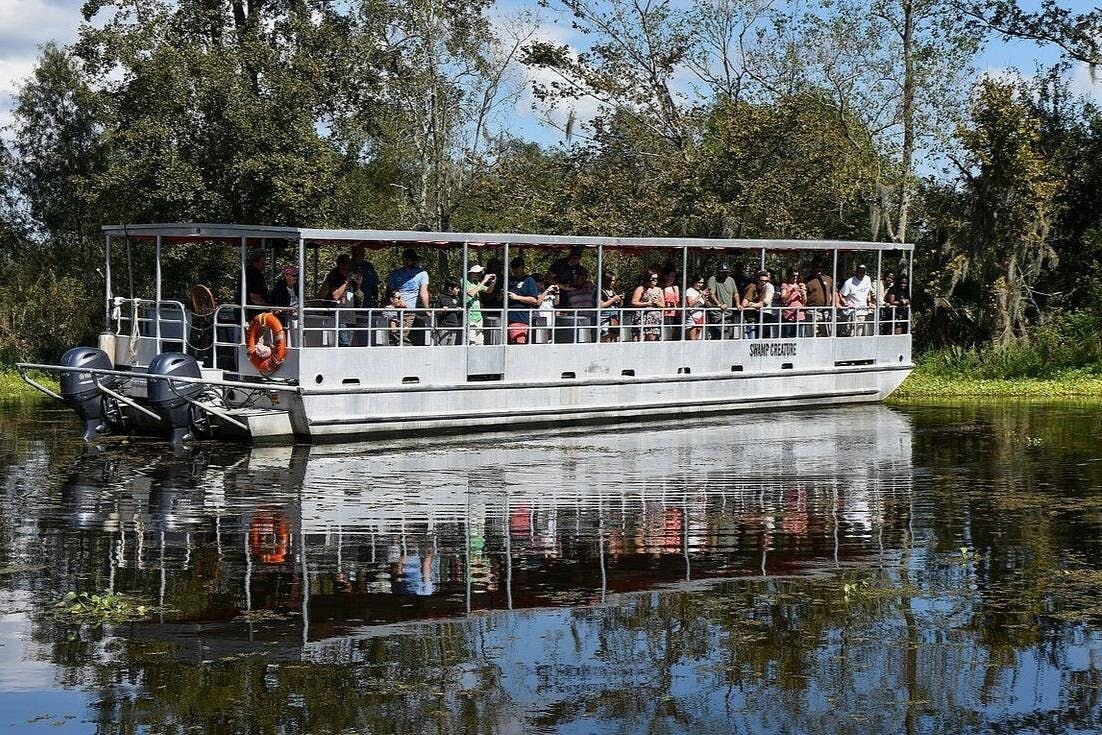 New Orleans: Guided Pontoon Boat Swamp Tour - Photo 1 of 5